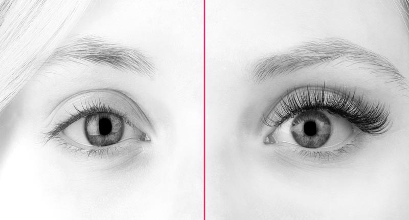 Example of Natural Lashes